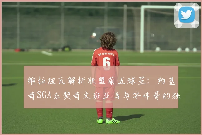 维拉纽瓦解析联盟前五球星：约基奇SGA东契奇文班亚马与字母哥的独特魅力