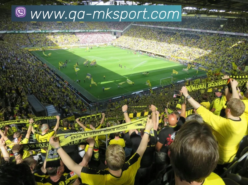 MK体育品牌故事